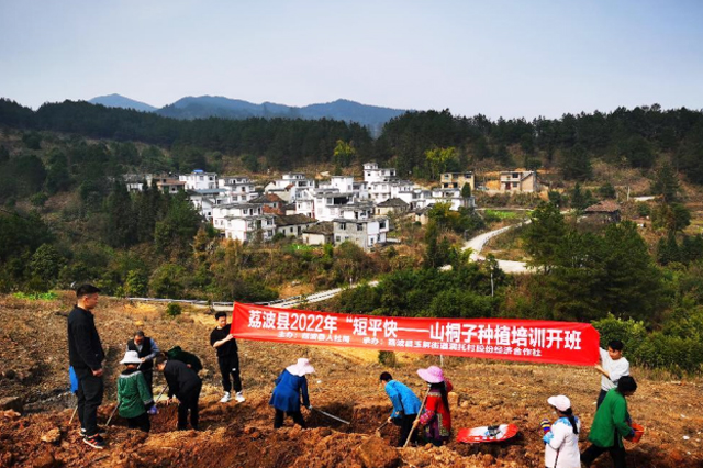 一树新栽益四邻,万亩成林油脂香——荔波县山桐子莳植培训顺遂开班