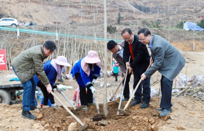 黔南：“树上油库”奏响墟落振兴新乐章