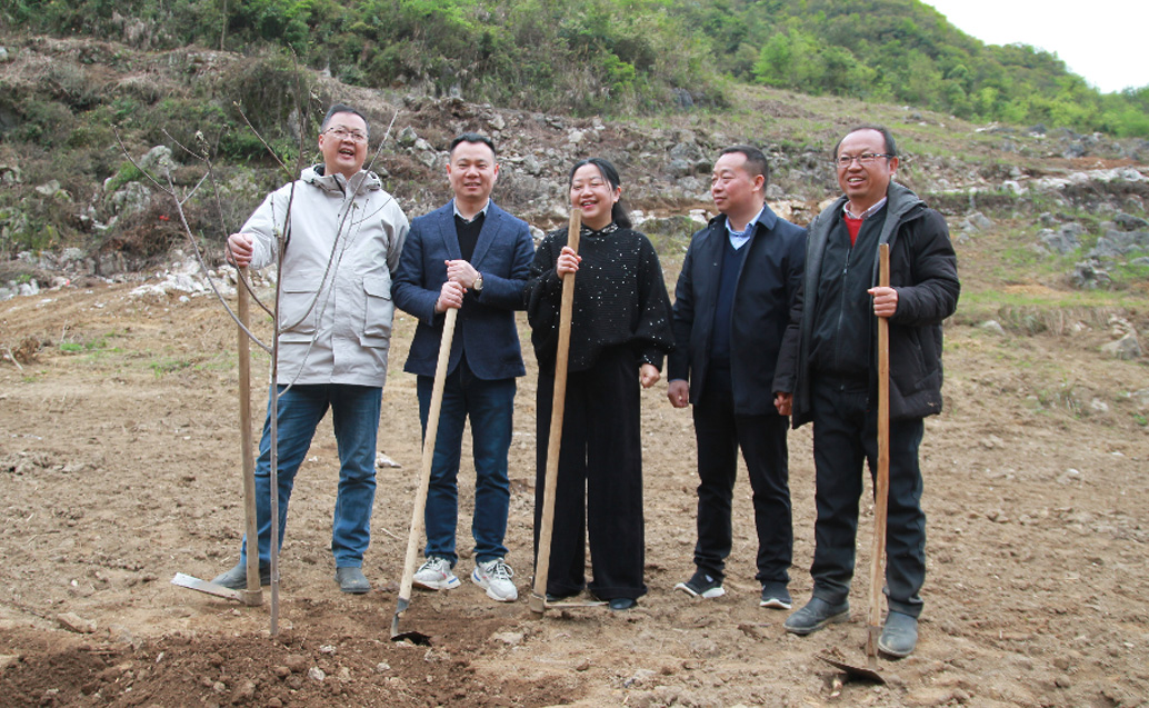 欧陆注册林业独山县麻尾山桐子综合树模基地： 县、镇向导莅临基地举行实地调研